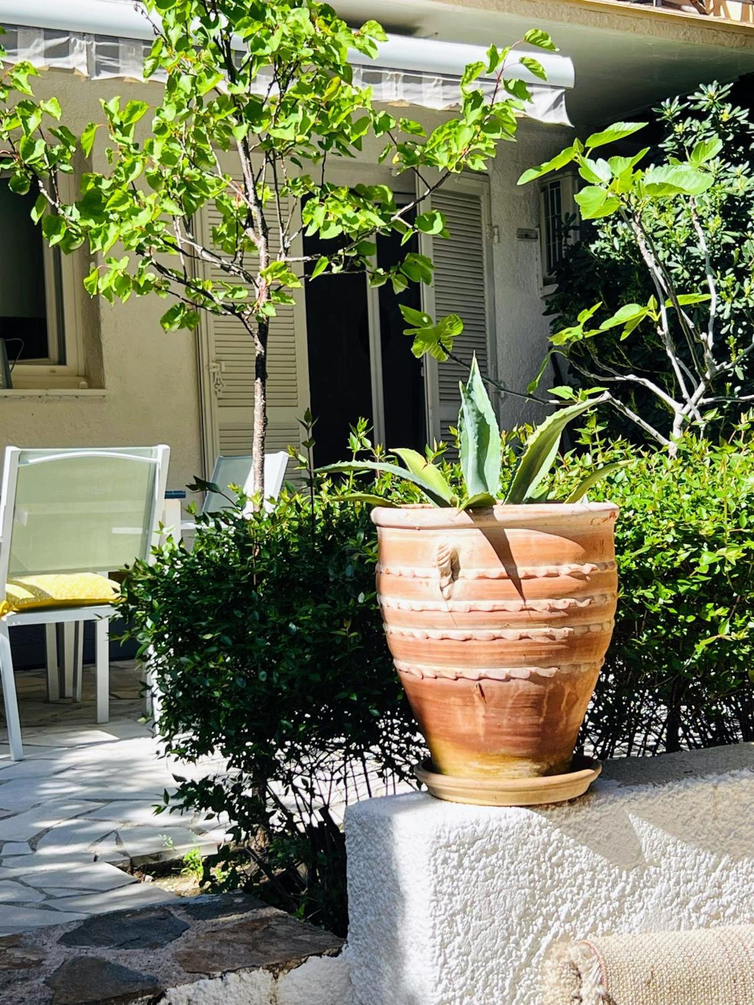 סן טרופז Superbe Appartement Avec Terrasse Jardin Et Parking Prive מראה חיצוני תמונה