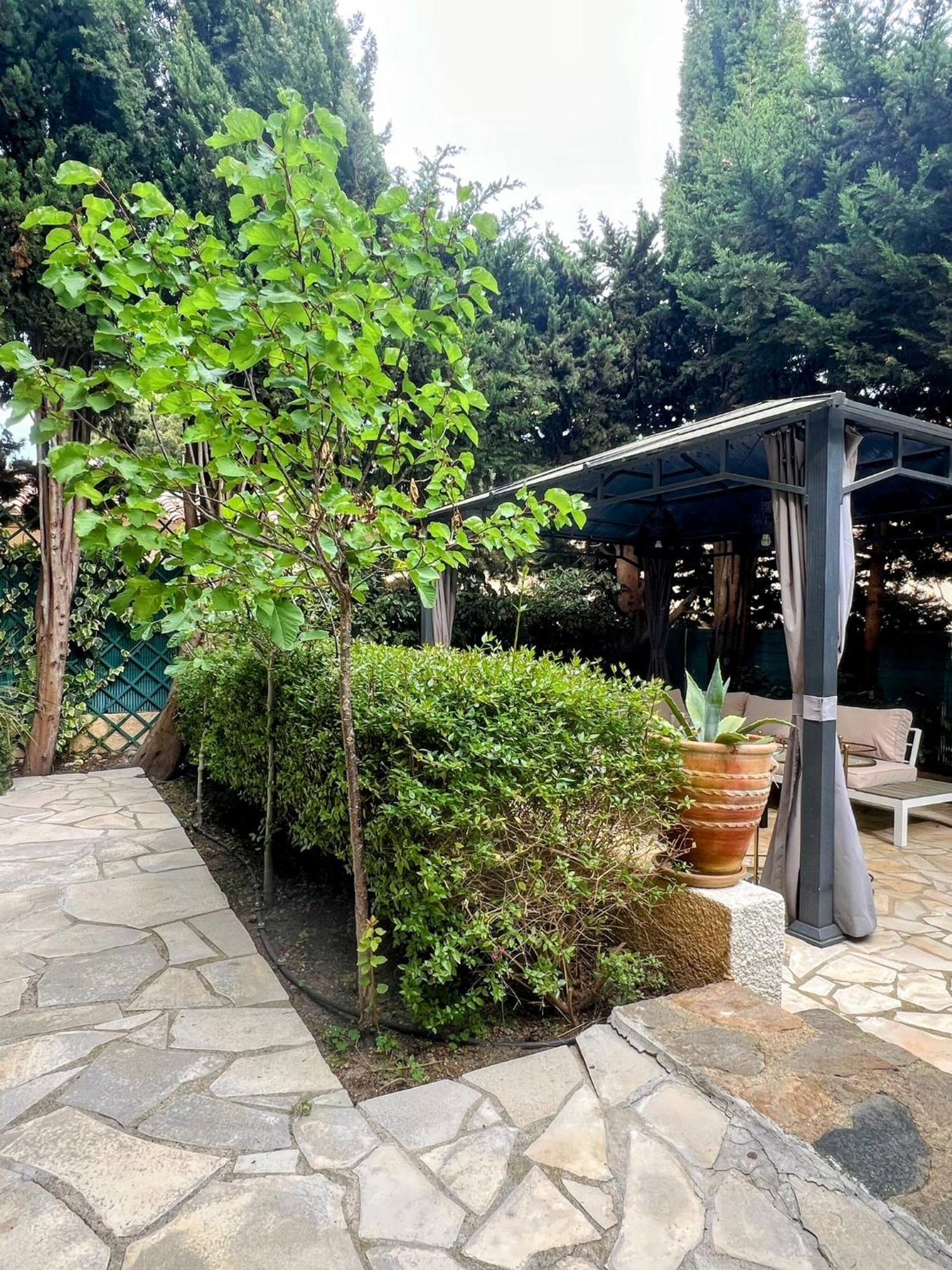 סן טרופז Superbe Appartement Avec Terrasse Jardin Et Parking Prive מראה חיצוני תמונה